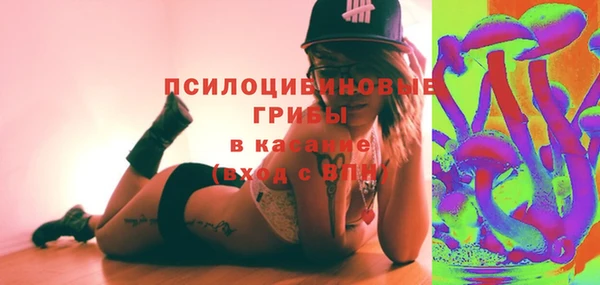амф Арсеньев