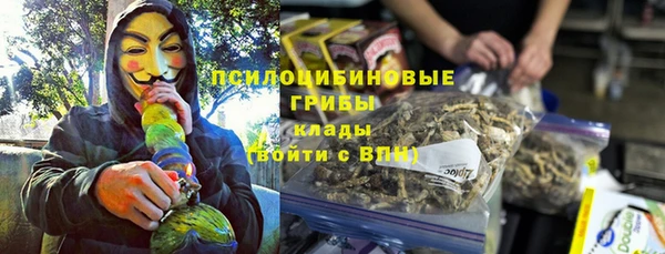 гидропоника Аркадак