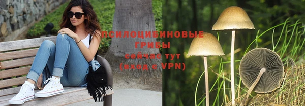 гидропоника Аркадак
