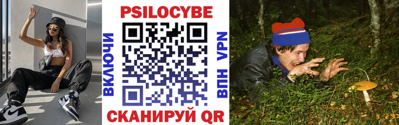 Псилоцибиновые грибы Psilocybine cubensis  Валдай 